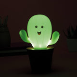 Cactus Lamp Working in Dark
