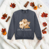 I'm An Autumn Sweatshirt | Adult Halloween Sweater | Available In A Huge Range Of Colours