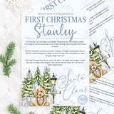 Personalised First Christmas Certificate from Santa Claus. Custom Baby Xmas Keepsake - Pink or Blue