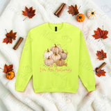 I'm An Autumn Sweatshirt | Adult Halloween Sweater | Available In A Huge Range Of Colours