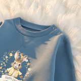 Personalised Easter Bunny Sweatshirt. Baby/Toddler Jumper - Easter Bunny Wreath Design - Pink or Blue