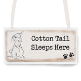 Personalised Rabbit Wooden Sign