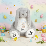 Personalised Giant "Happy Easter" Bunny Teddy. Custom Grey Easter Bunny Plush - Hot Air Balloon Design