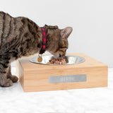 Tortoise shell cat named Bertie, eating from his personalised bamboo and stainless steel food bowl