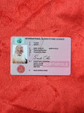Santa Sleigh Driving Licence
