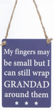 Wrap Grandad Around Small Fingers Mini Metal Sign