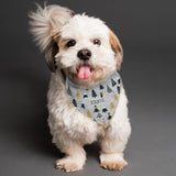 Personalised Christmas Tree Dog Bandana